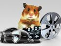 Speedy´s Hamster-Videos
