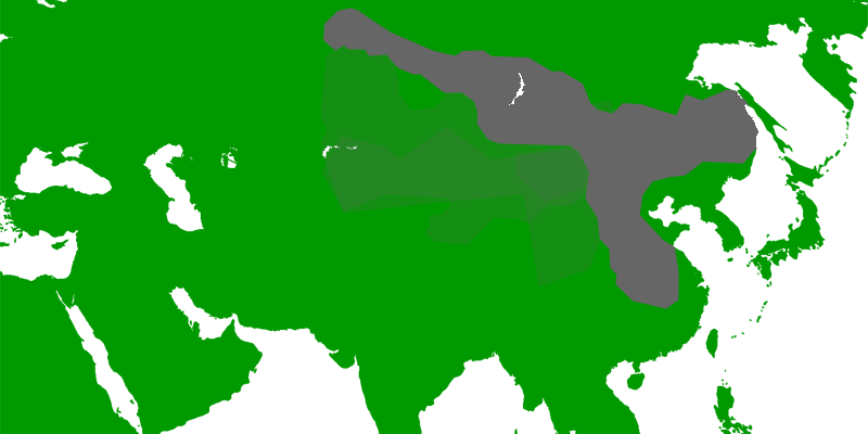 Herkunftsgebiet der Chinesischen-Streifenhamster