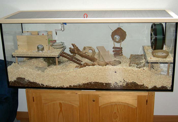 Der Hamsterkäfig - Gitterkäfig oder Glasbehausung  